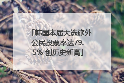 韩国本届大选旅外公民投票率达79.5% 创历史新高